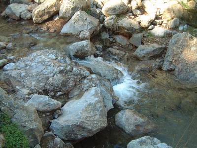 DSCF0148.JPG